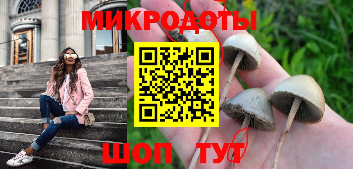 Богданович  Галлюциногенные грибы GOLDEN TEACHER  Вход с VPN  Галлюциногенные грибы мухоморы 